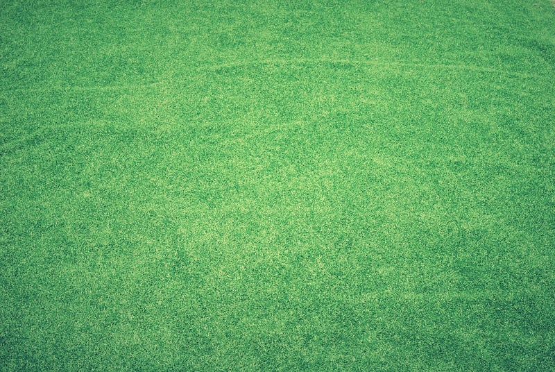 Artificial Turf